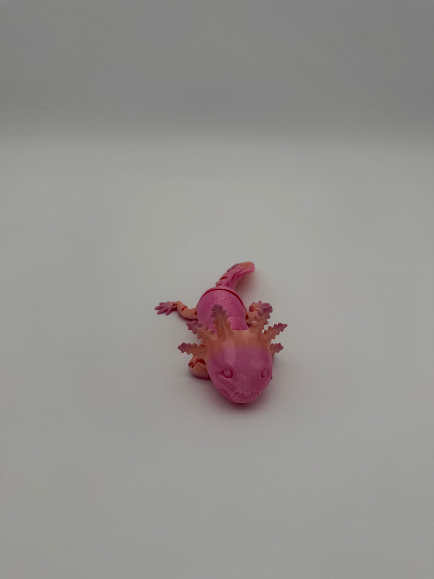Axolotl