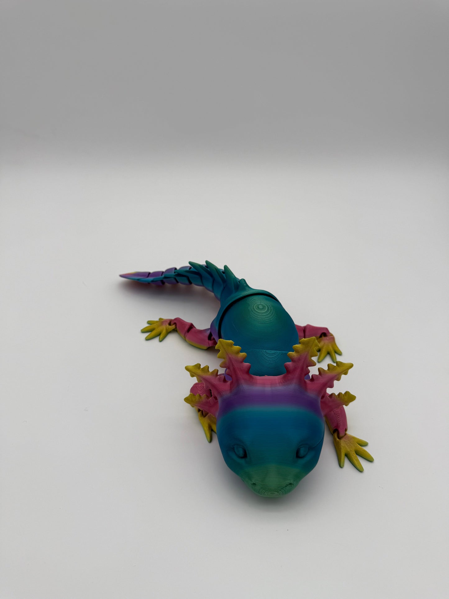 Axolotl